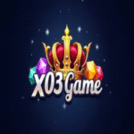 X03 Game