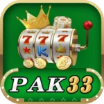 PaK33 Game
