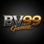 BV99 Game