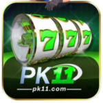 PK11 Game