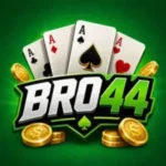 BRO44 Game